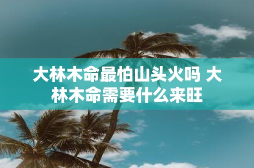 大林木命最怕山头火吗 大林木命需要什么来旺