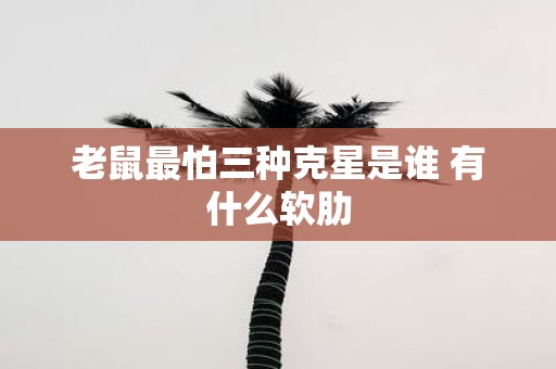 老鼠最怕三种克星是谁 有什么软肋