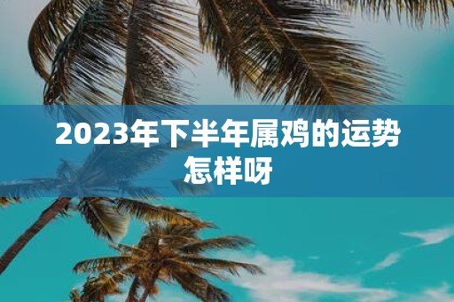 2025年下半年属鸡的运势怎样呀
