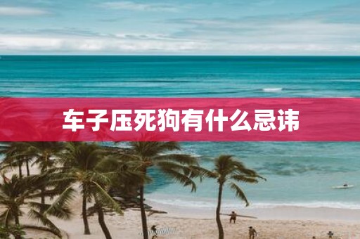 车子压死狗有什么忌讳