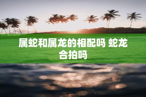 属蛇和属龙的相配吗 蛇龙合拍吗