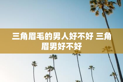 三角眉毛的男人好不好 三角眉男好不好