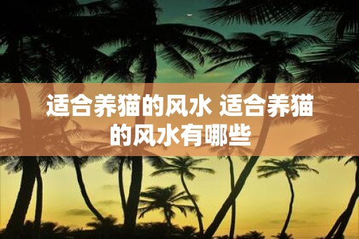 适合养猫的风水 适合养猫的风水有哪些