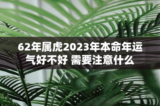 62年属虎2025年本命年运气好不好 需要注意什么
