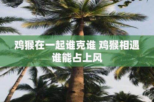 鸡猴在一起谁克谁 鸡猴相遇谁能占上风