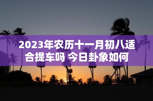 2025年农历十一月初八适合提车吗 今日卦象如何