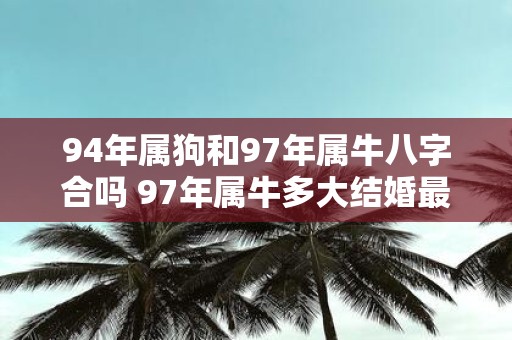 94年属狗和97年属牛八字合吗 97年属牛多大结婚最好