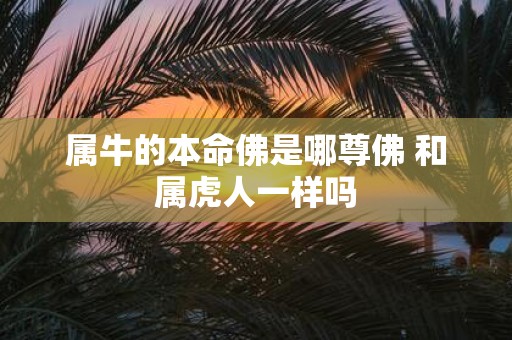 属牛的本命佛是哪尊佛 和属虎人一样吗