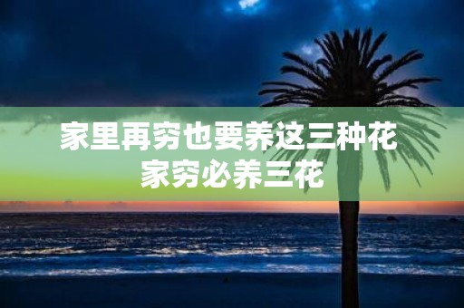 家里再穷也要养这三种花 家穷必养三花