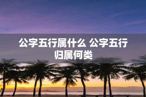 公字五行属什么 公字五行归属何类