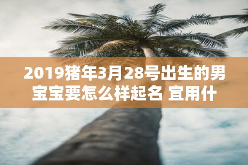 2019猪年3月28号出生的男宝宝要怎么样起名 宜用什么字