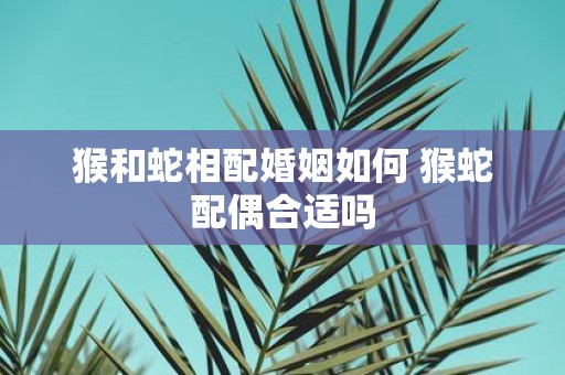 猴和蛇相配婚姻如何 猴蛇配偶合适吗