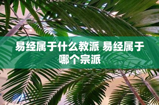 易经属于什么教派 易经属于哪个宗派