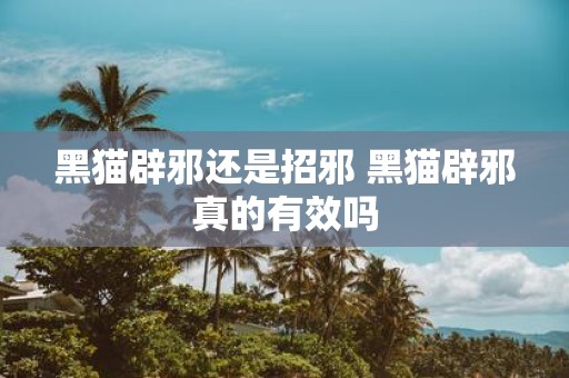 黑猫辟邪还是招邪 黑猫辟邪真的有效吗