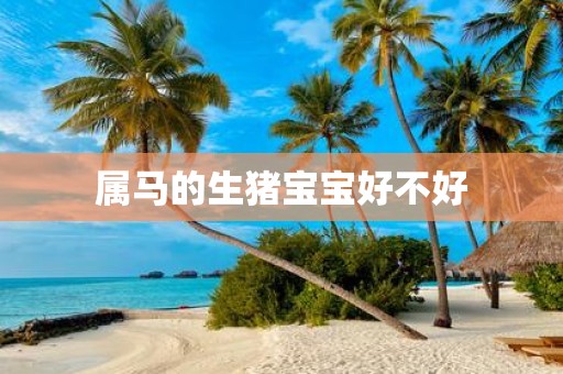 属马的生猪宝宝好不好