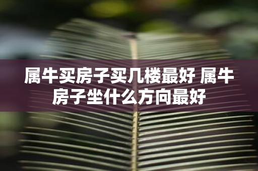 属牛买房子买几楼最好 属牛房子坐什么方向最好