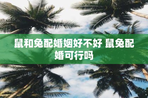 鼠和兔配婚姻好不好 鼠兔配婚可行吗