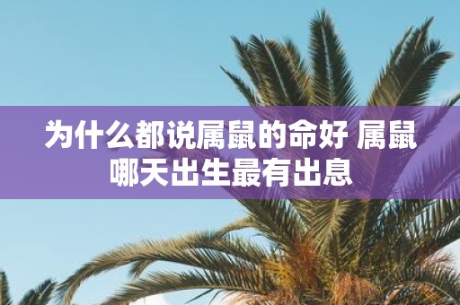 为什么都说属鼠的命好 属鼠哪天出生最有出息