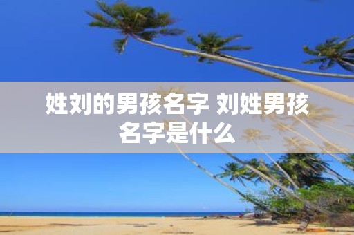 姓刘的男孩名字 刘姓男孩名字是什么