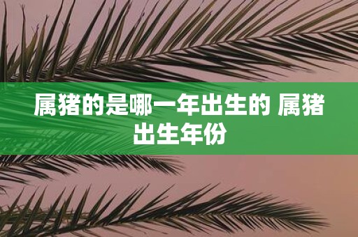 属猪的是哪一年出生的 属猪出生年份