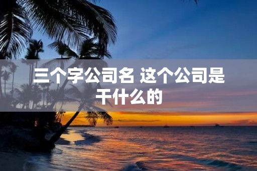 三个字公司名 这个公司是干什么的