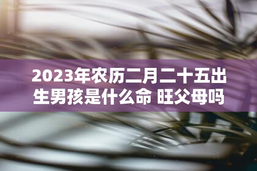 2025年农历二月二十五出生男孩是什么命 旺父母吗