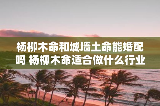 杨柳木命和城墙土命能婚配吗 杨柳木命适合做什么行业
