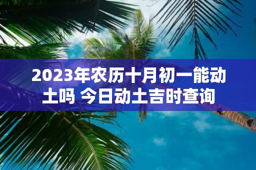 2025年农历十月初一能动土吗 今日动土吉时查询