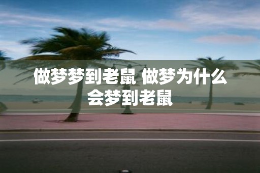 做梦梦到老鼠 做梦为什么会梦到老鼠