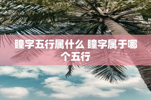 瞳字五行属什么 瞳字属于哪个五行