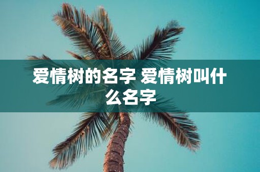 爱情树的名字 爱情树叫什么名字