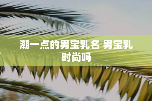 潮一点的男宝乳名 男宝乳时尚吗