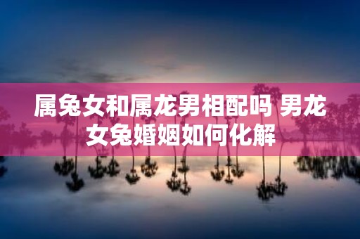 属兔女和属龙男相配吗 男龙女兔婚姻如何化解