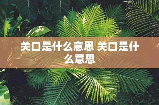 关口是什么意思 关口是什么意思