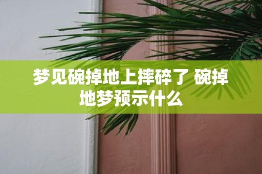 梦见碗掉地上摔碎了 碗掉地梦预示什么
