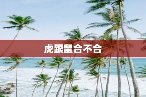 虎跟鼠合不合