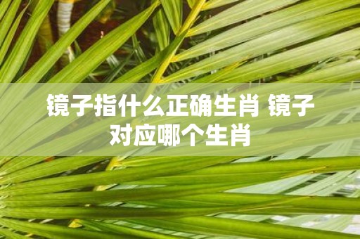镜子指什么正确生肖 镜子对应哪个生肖