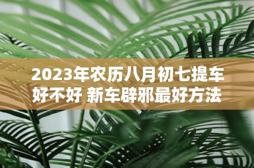 2025年农历八月初七提车好不好 新车辟邪最好方法