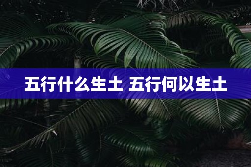 五行什么生土 五行何以生土