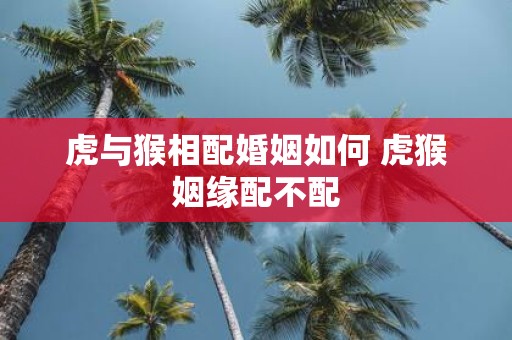虎与猴相配婚姻如何 虎猴姻缘配不配