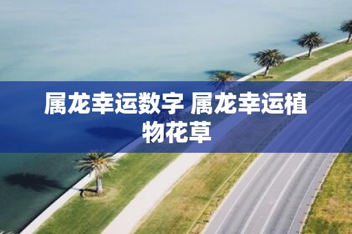 属龙幸运数字 属龙幸运植物花草
