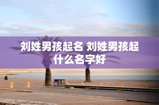 刘姓男孩起名 刘姓男孩起什么名字好