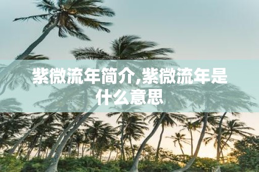 紫微流年简介,紫微流年是什么意思