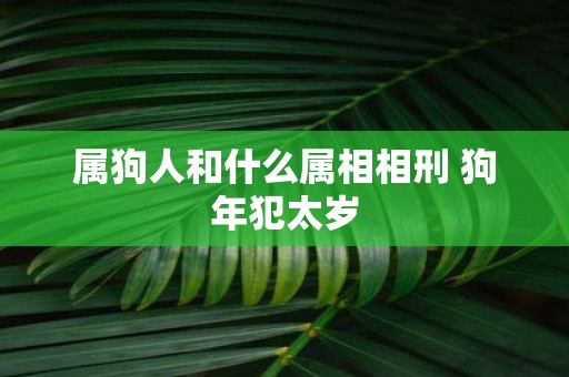 属狗人和什么属相相刑 狗年犯太岁