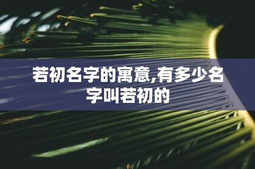 若初名字的寓意,有多少名字叫若初的
