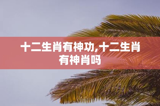 十二生肖有神功,十二生肖有神肖吗