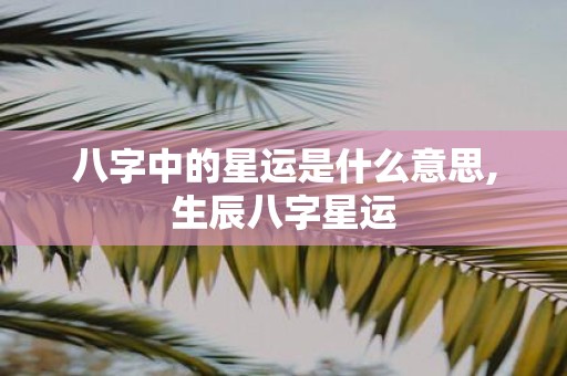 八字中的星运是什么意思,生辰八字星运