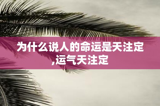 为什么说人的命运是天注定,运气天注定