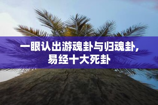 一眼认出游魂卦与归魂卦,易经十大死卦