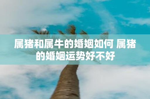 属猪和属牛的婚姻如何 属猪的婚姻运势好不好